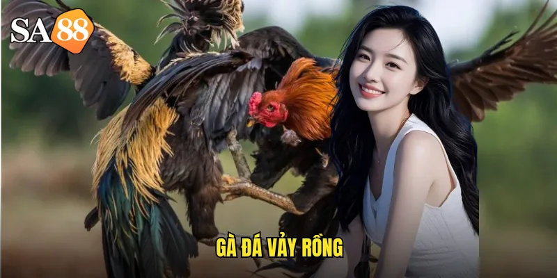 Gà Đá Vảy Rồng sa88: Giống Gà Chiến Huyền Thoại Bất Bại 2 gà đá vảy rồng