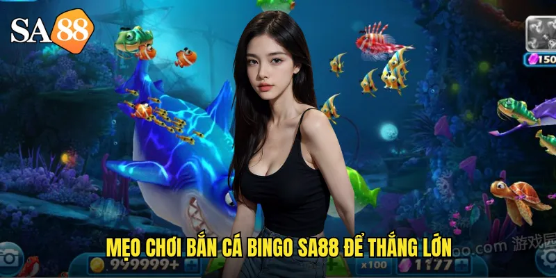 Bắn Cá Bingo sa88: Kết Hợp Độc Đáo Giữa Bắn Cá Và Bingo Hấp Dẫn 3 Mẹo chơi bắn cá bingo sa88 để thắng lớn